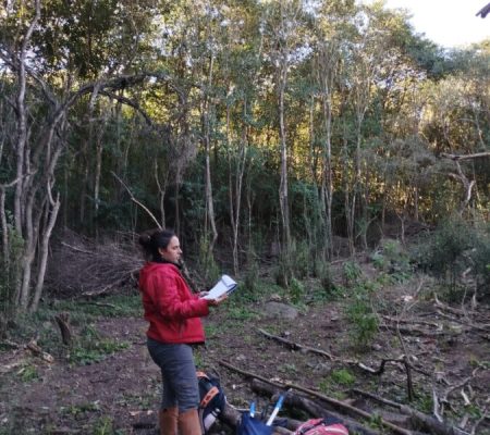 Parcela 80% invadida y controlada